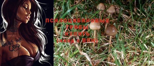 прущая мука Баксан