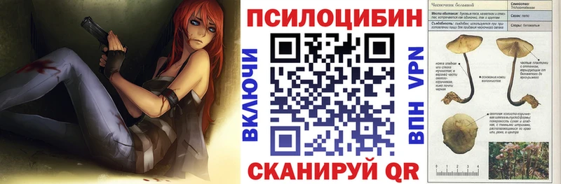 Псилоцибиновые грибы ЛСД  Купить  Демидов 