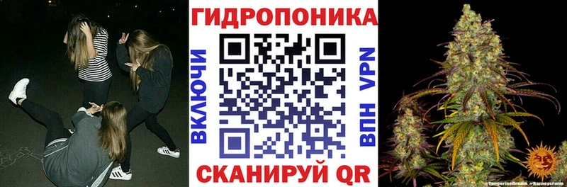 Бошки Шишки план Купить Демидов